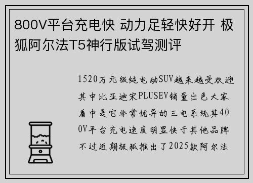 800V平台充电快 动力足轻快好开 极狐阿尔法T5神行版试驾测评